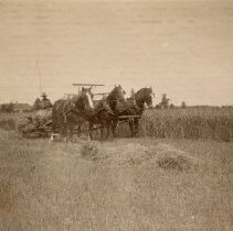 Omc1985.008.057 Image 600dpi